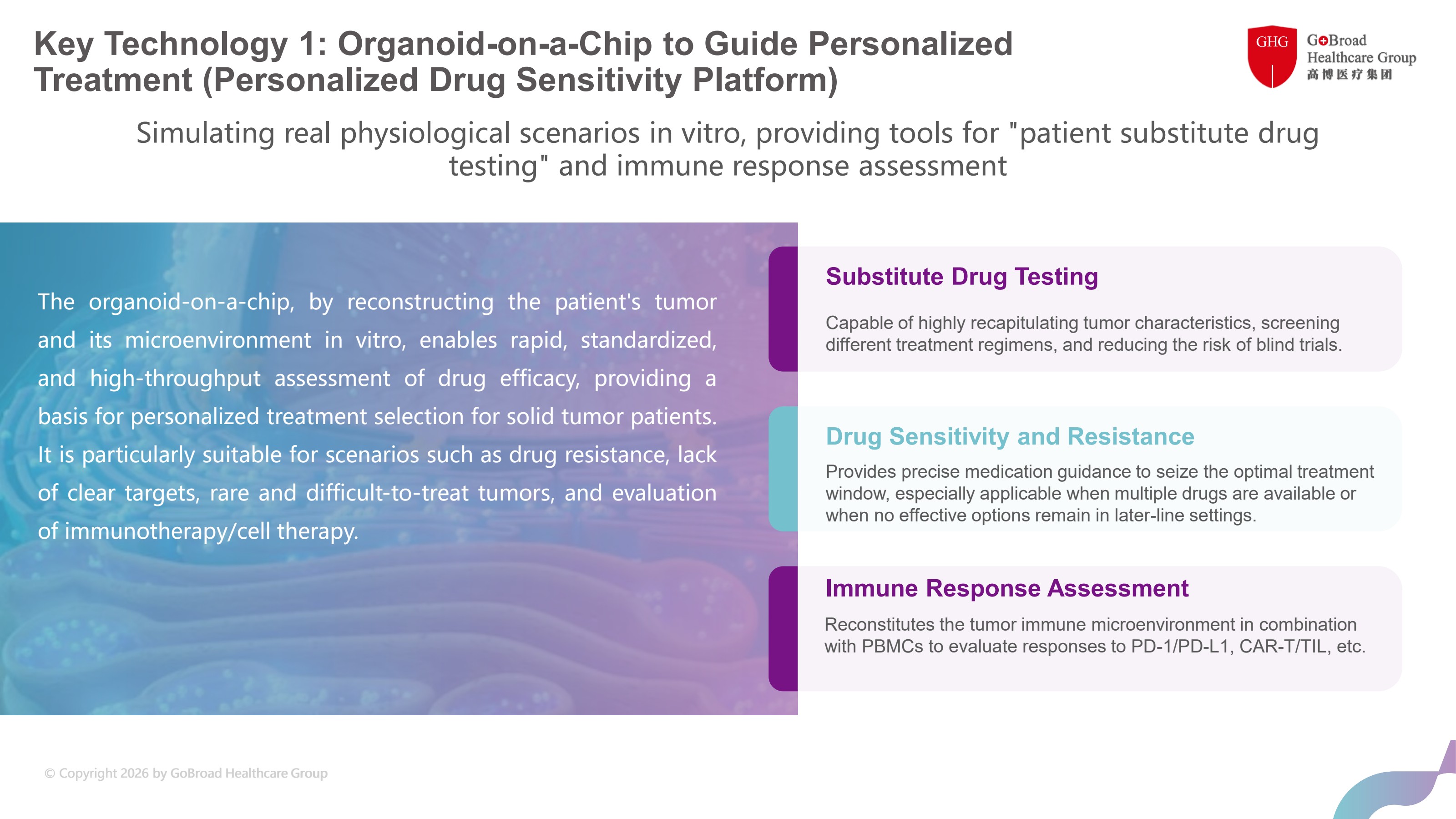 Organoid drug sensitivity testing platform