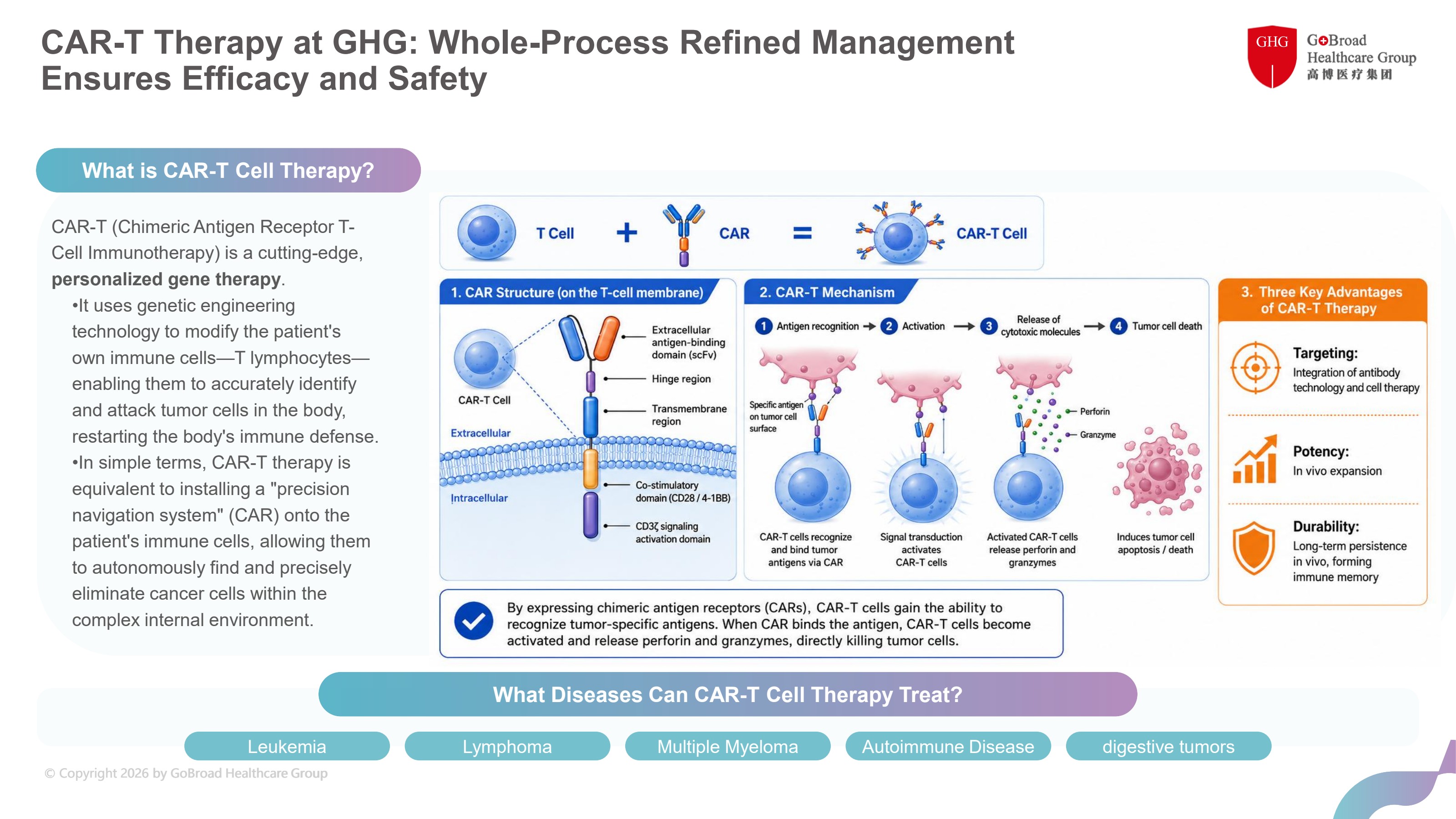 CAR-T cell mechanism diagram — CAR structure, antigen recognition and tumor cell killing